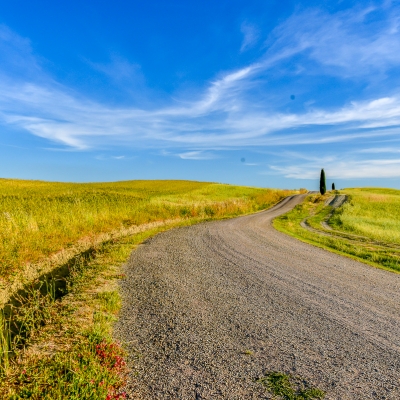 The Crete Senesi and Valdorcia: Pienza and Lunch at a Cheese Farm